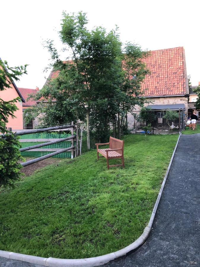 Ferienwohnung Gans Auguste Dohna Eksteriør billede