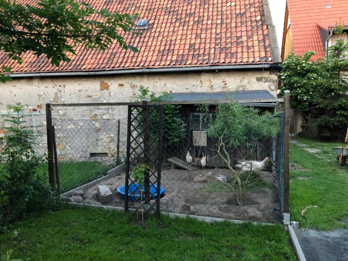 Ferienwohnung Gans Auguste Dohna Eksteriør billede
